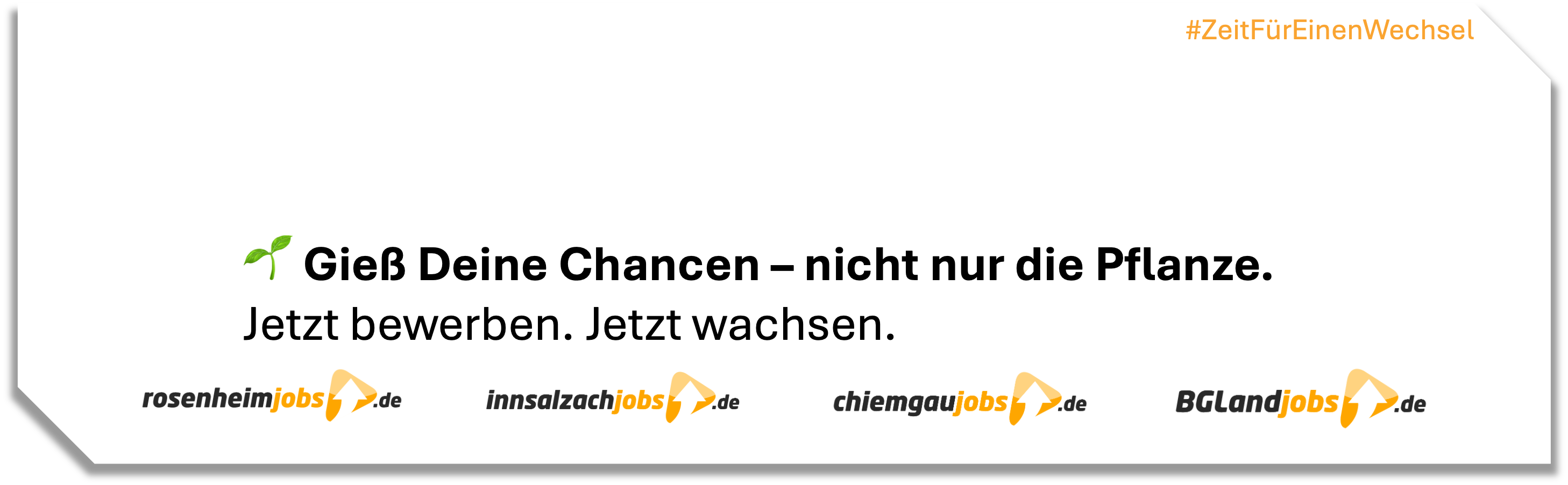 Wechsel_Pflanze