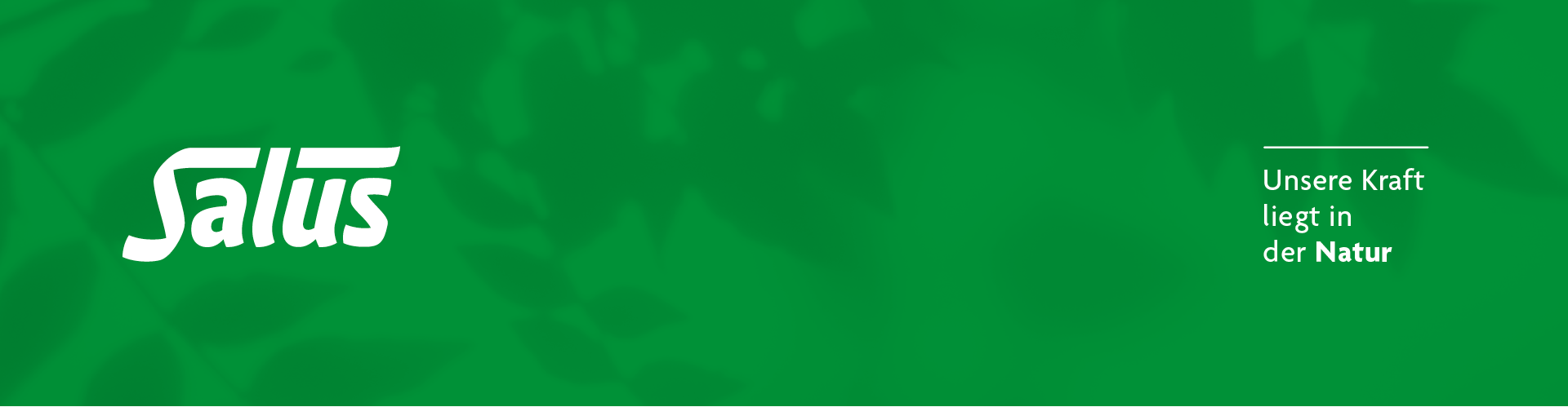 250527_salus_digital_header_rosenheimjobs_1920x500px