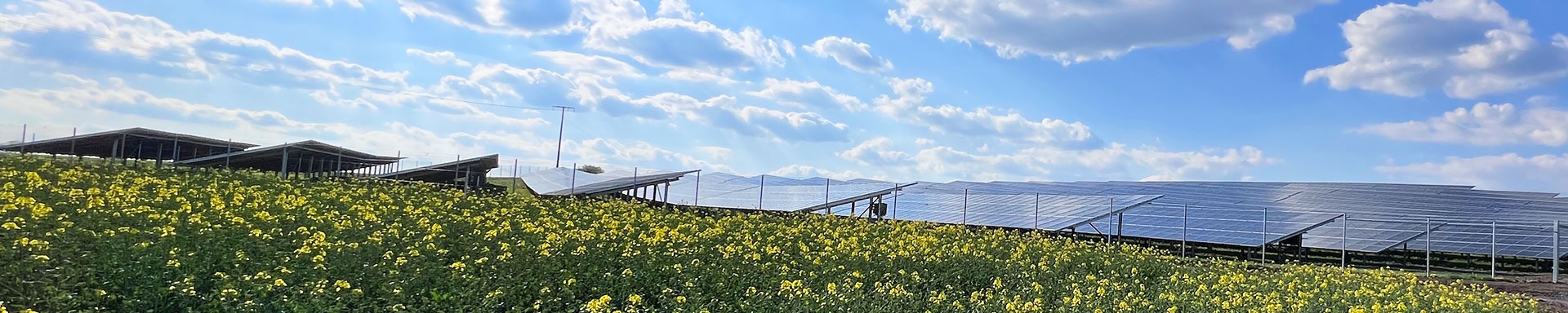 Kumandra Energy GmbH & Co.KG