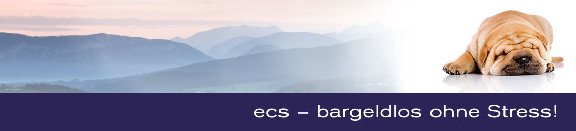 ecs electronic cash syländer gmbh