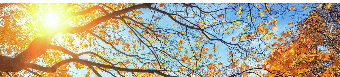 herbstfoto-logo_profile_7
