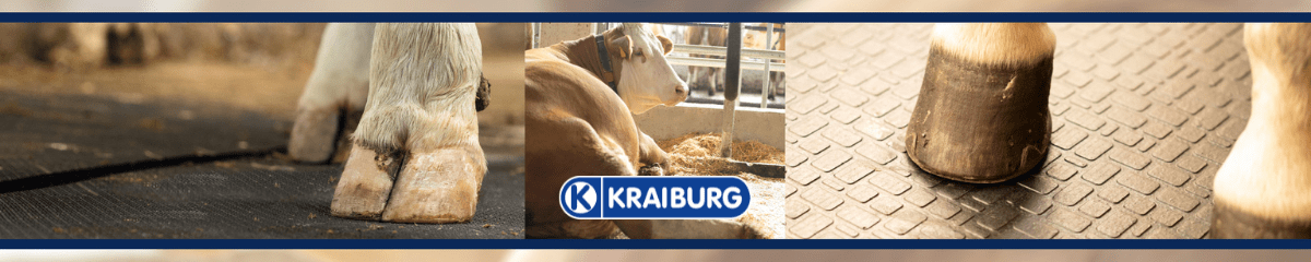 ovb24_header_bild_1200_240_px_7