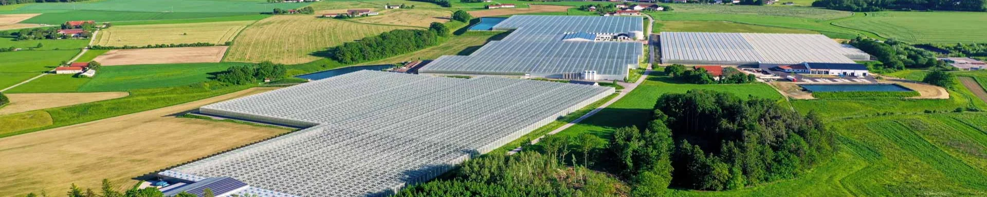 Gemüsebau Steiner GmbH & Co KG