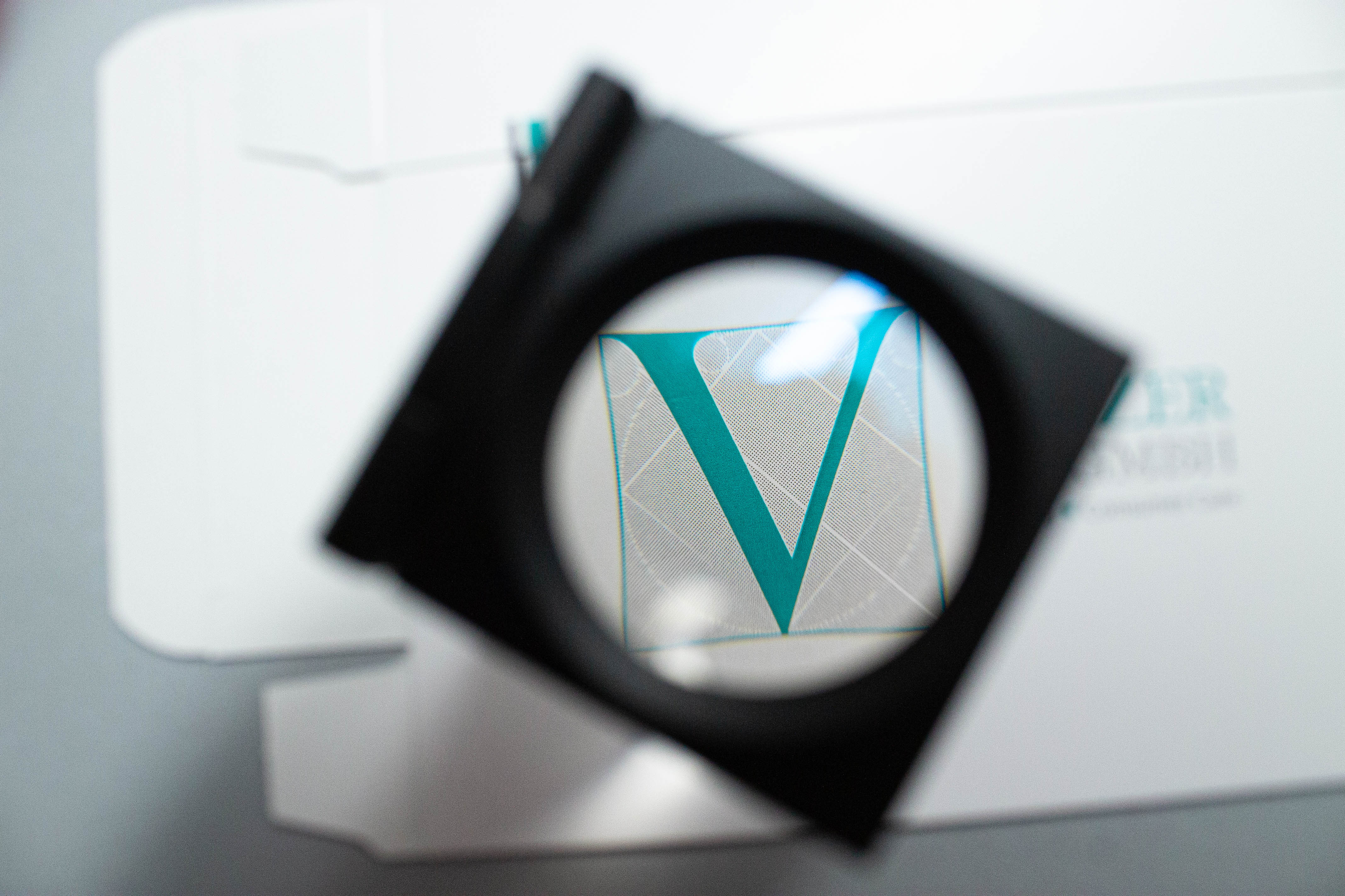 2023_lupe_v-2