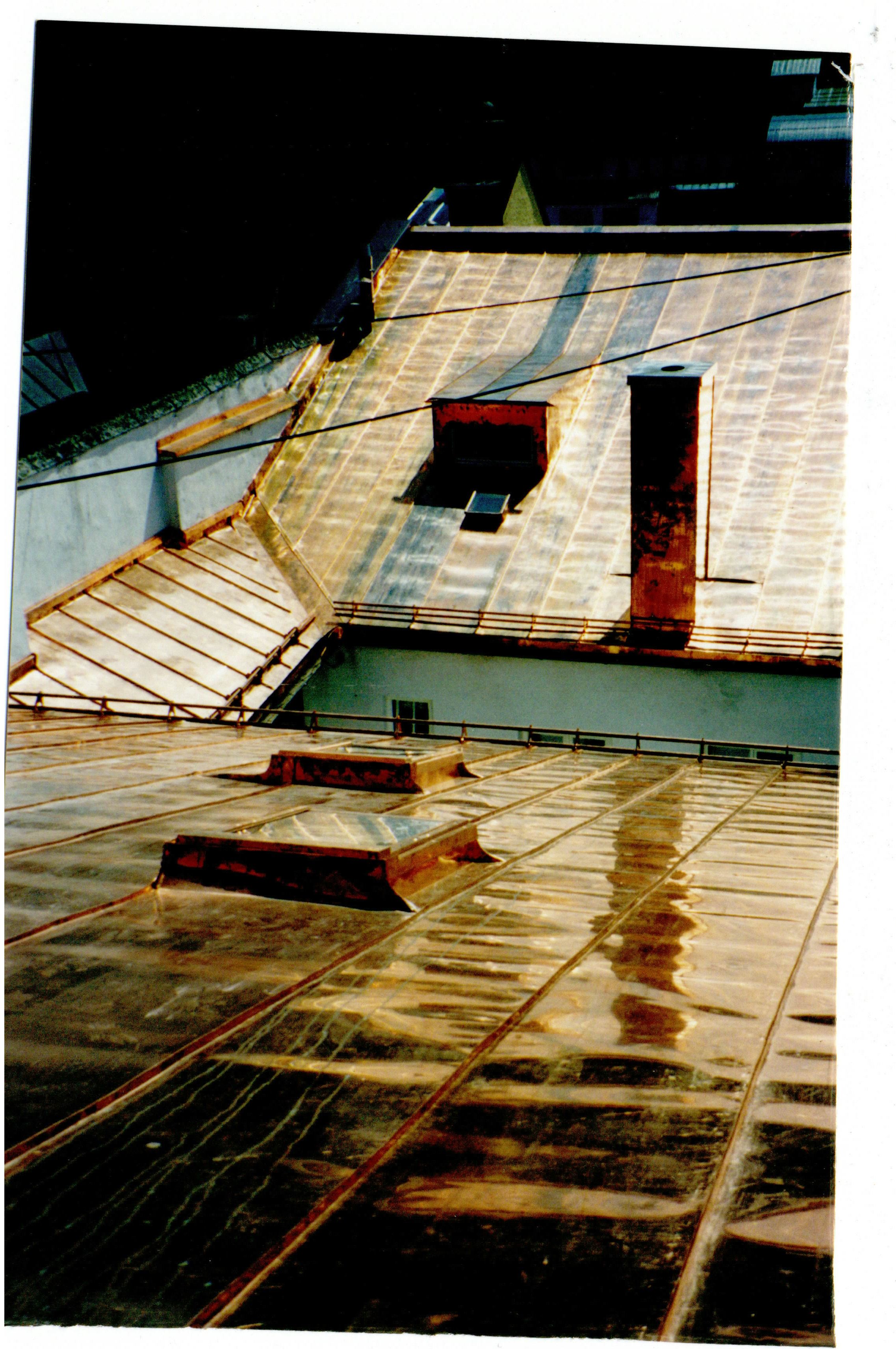 blechdach_wsbg_01