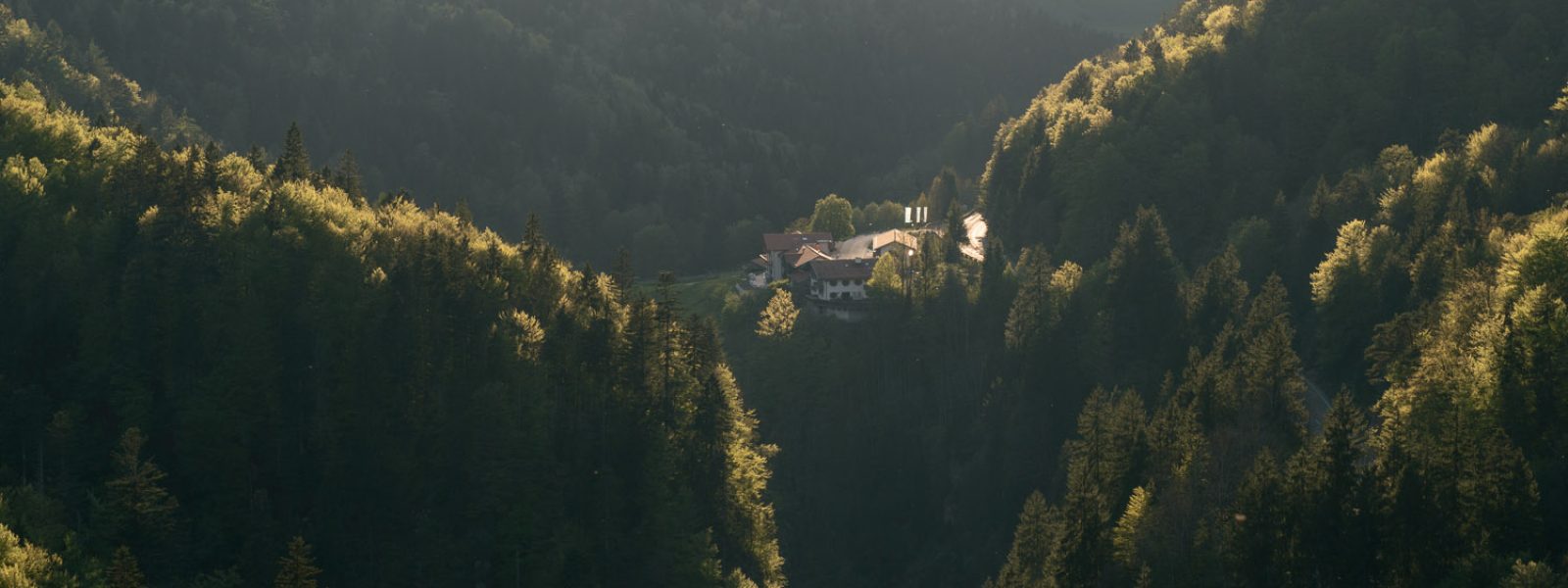 Fotogalerie 1