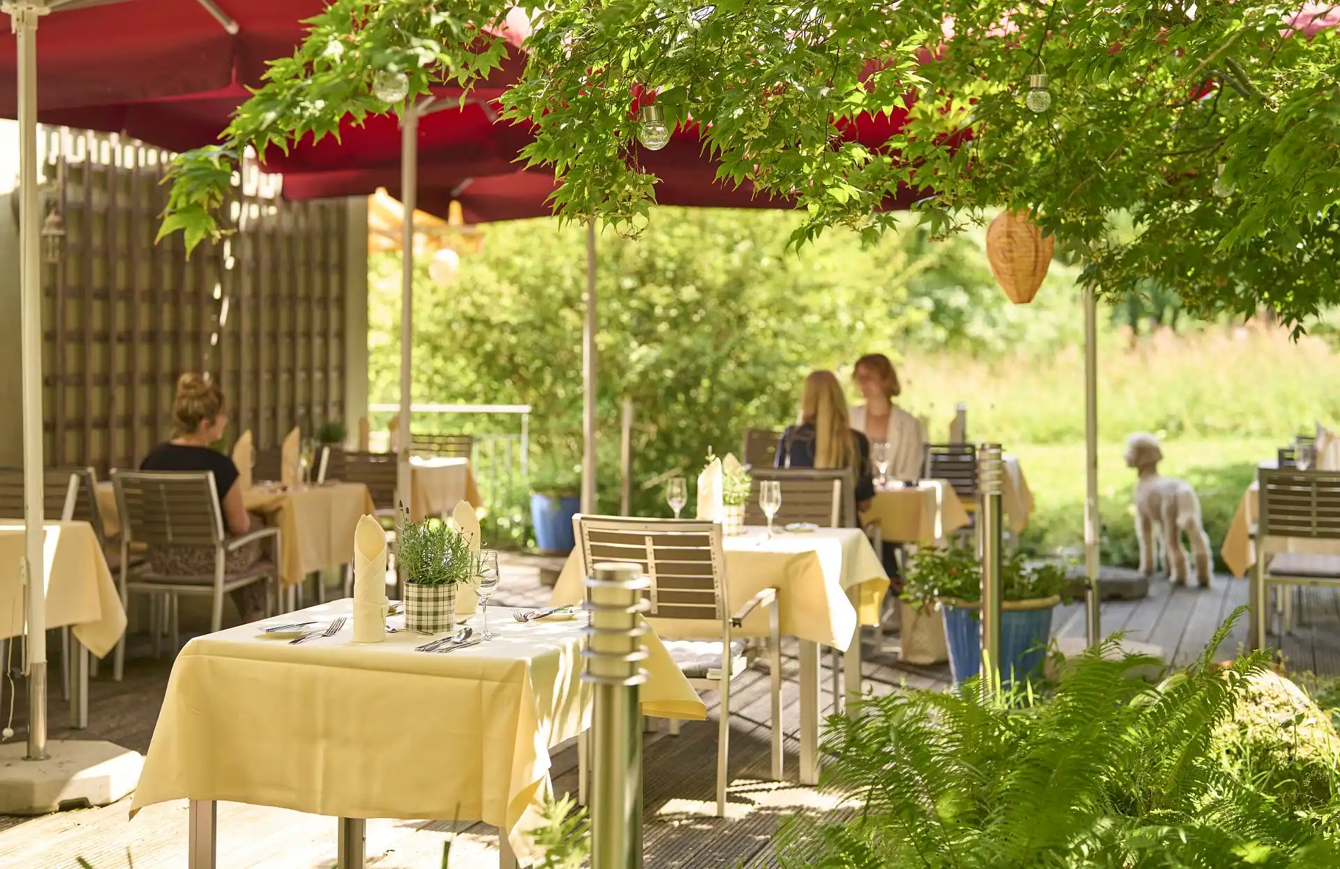 sth_restaurant_draussen_schirme_offen_12