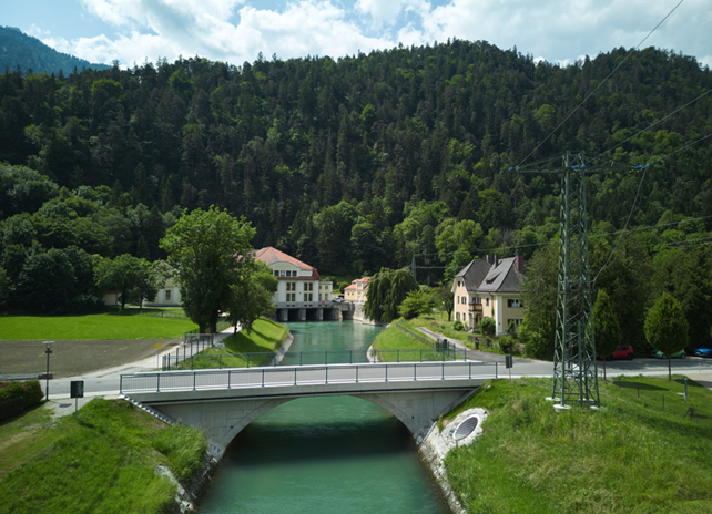 thumsee