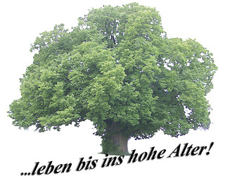 Inntal Pflegeheime GmbH
