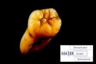 Dentallabor Maier GmbH