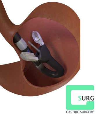 G-SURG GmbH