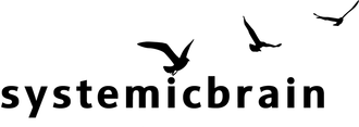 systemicbrain Dr. Johannes Rosenberger