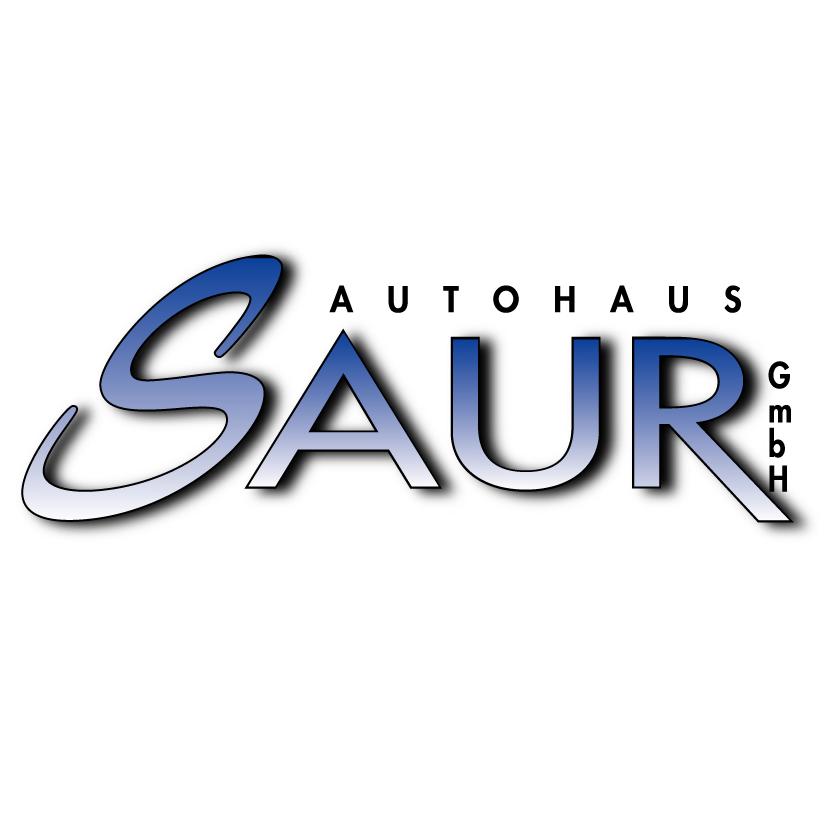 Horst Saur GmbH Kraftfahrzeuge